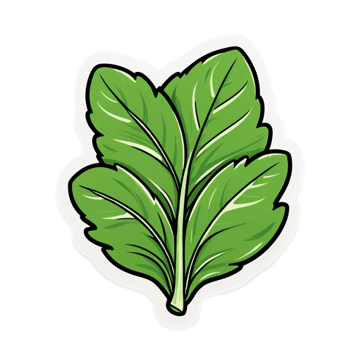 Arugula sticker illustration