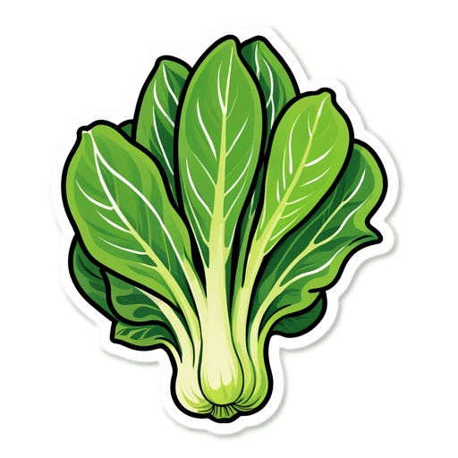 Bok Choy sticker illustration