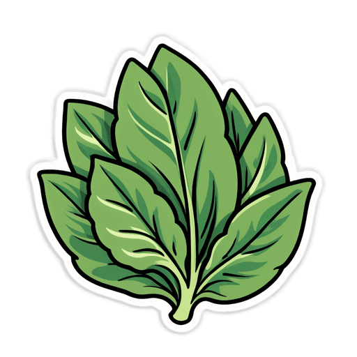 Spinach sticker illustration